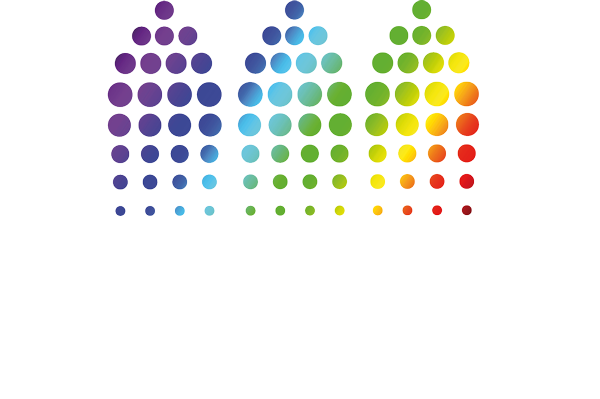 DOMI-logo-2013-couronne-blanc02